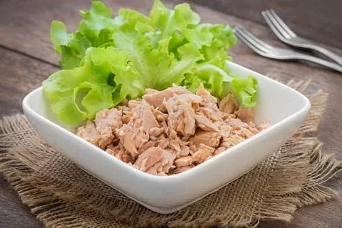 خرید کنسرو ماهی ساردین + قیمت عالی باکیفیت